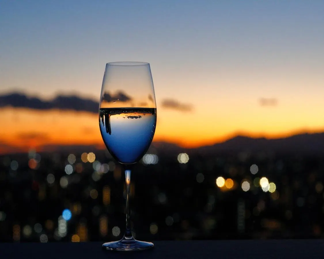 טוקיו Odakyu Hotel Century Southern Tower