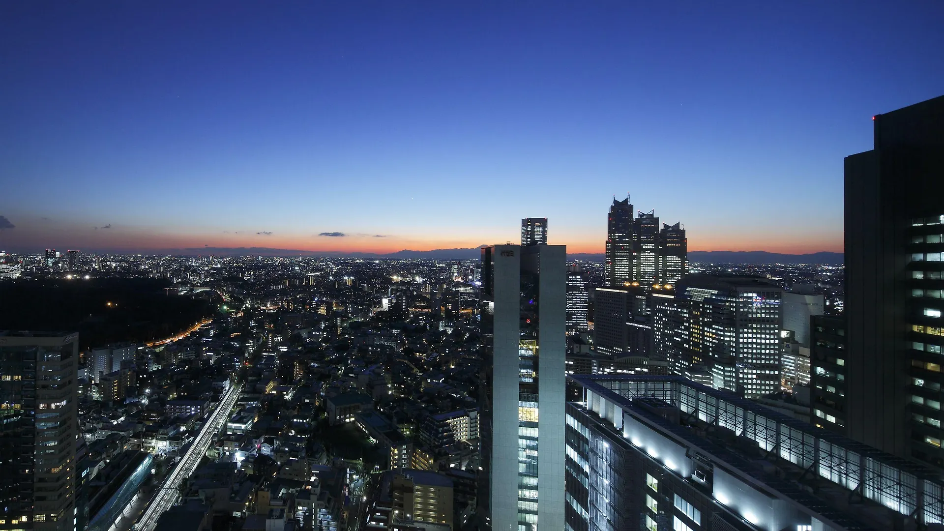 טוקיו Odakyu Hotel Century Southern Tower יפן